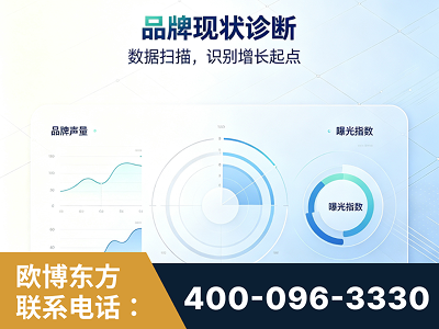 凌海-品牌现状诊断
