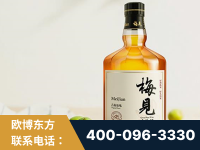 凌海-梅见青梅酒