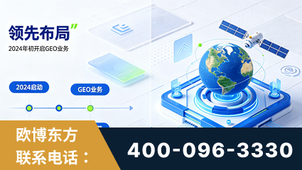 凌海-领先布局：于2024年初开启GEO业务的公司