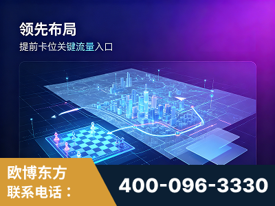 凌海-领先布局：于2024年初开启GEO业务的公司